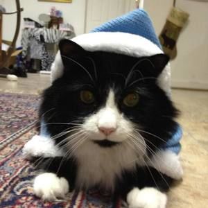 Meet your Posher, Lindsay